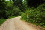 2014-07-05_Laengental-N-Hochweg (976). JPG